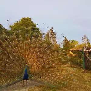 Podere Asche Alloggio per agriturismo